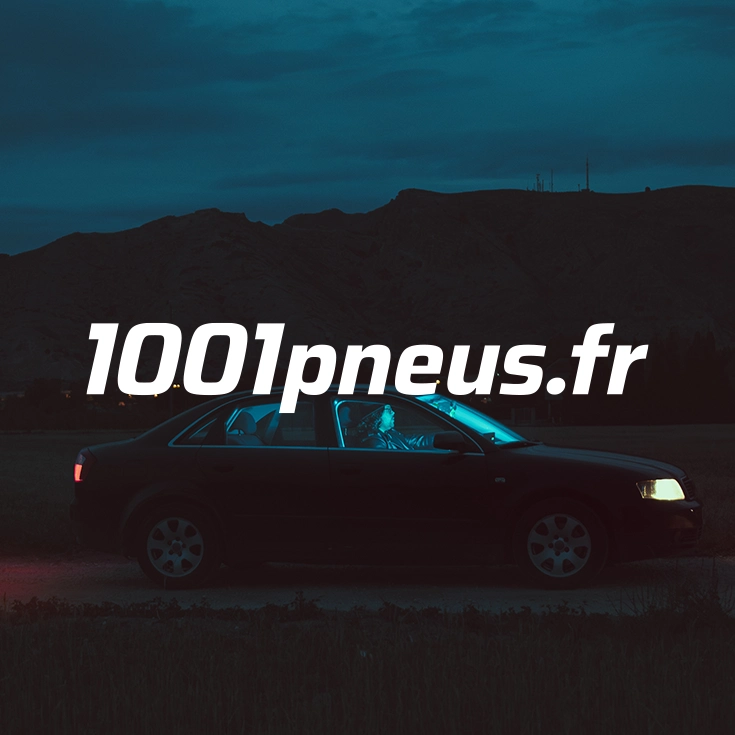 1001pneus — Refonte logo